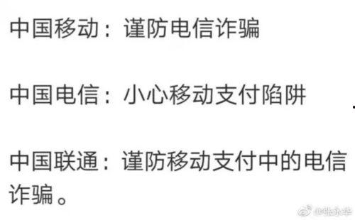 单身来我家吃瓜,共享瓜果，共度欢乐时光