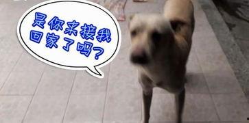 那些吃瓜场面,那些令人捧腹的吃瓜瞬间