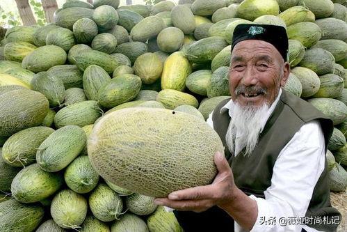 钳子吃新疆哈密瓜,一场新疆风味的美食邂逅