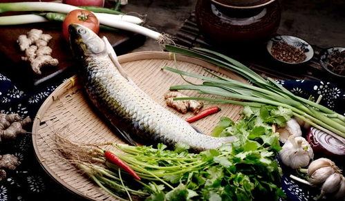 三鱼吃瓜,共享夏日清凉时光