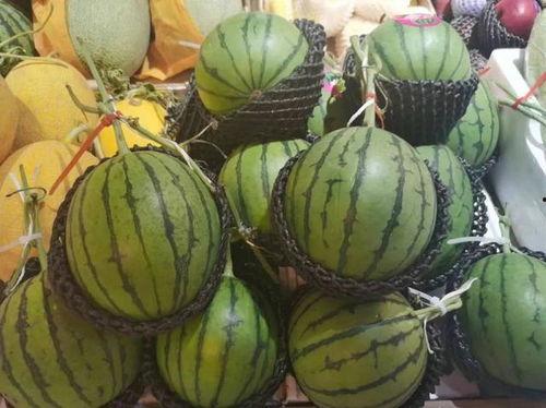 二环吃瓜,揭秘京城美食圈的那些“吃瓜”故事