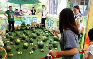 花样吃瓜群众,揭秘网络热议背后的趣味与真相