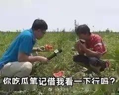 传播吃瓜事件,揭秘吃瓜事件的传播与影响