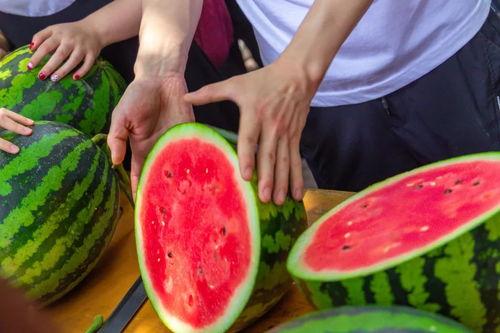 昨天吃瓜今天疫情,昨日瓜田笑谈，今日防疫同行