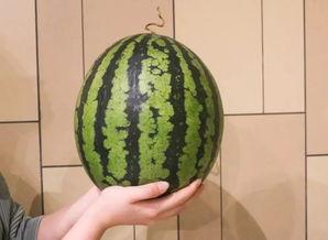 广州吃瓜的时间,清凉一夏，尽享瓜果盛宴