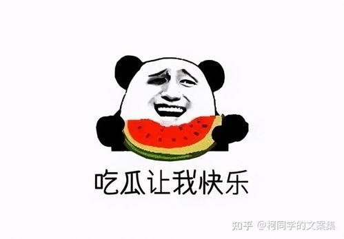 吃瓜给钱文案短句,财富随行——吃瓜给钱,乐享不停