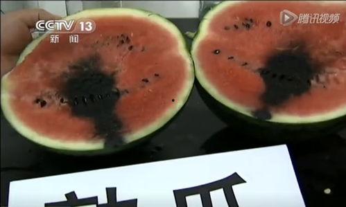 庄寨吃瓜视频,揭秘乡村生活趣味瞬间