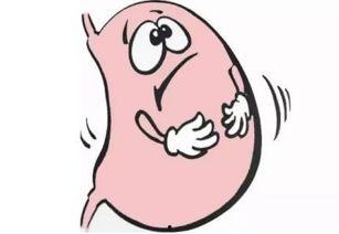 肛肠不好可以吃瓜吗,揭秘瓜类食物对肛肠健康的影响