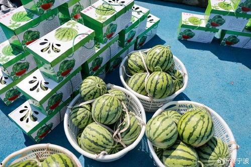 子辰吃瓜,揭秘娱乐圈那些不为人知的幕后故事