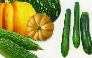 怎么有效吃瓜,如何高效享受娱乐八卦